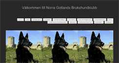Desktop Screenshot of ngbk.org