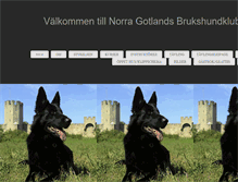 Tablet Screenshot of ngbk.org